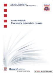 Branchenprofil Chemische Industrie in Hessen - Industrieplatz Hessen
