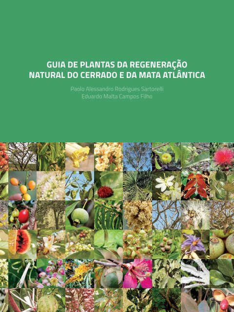 Seqüências de Flores em COQUINHOS