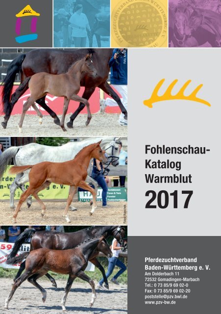 Fohlenschaukatalog Warmblut 2017 - Pferdezuchtverband Baden-Württemberg