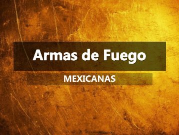 Armas de Fuego