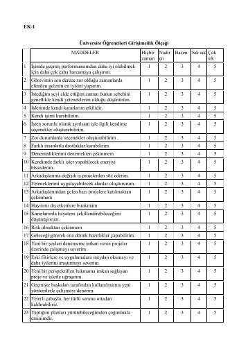 girişimcilik ölçeğii