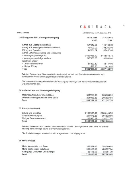 Jahresbericht_2016