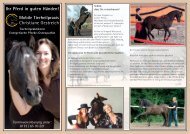 Ihr Pferd in guten Händen! Mobile Tierheilpraxis Christiane Oestreich