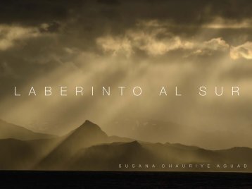 Laberinto al Sur