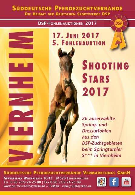 DSP-Fohlenauktion Shooting Stars
