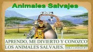 animales salvajes erika landazury