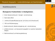 Merkmale städtischer Nutzungstypen - Lehrstuhl für Physische ...