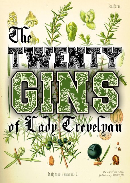 The TWENTY GINS of Lady Trevelyan