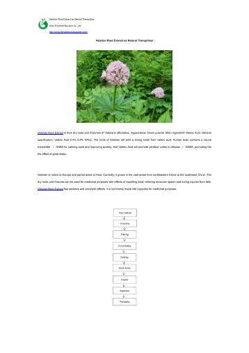 Valerian Root Extract as Natural Tranquilizer
