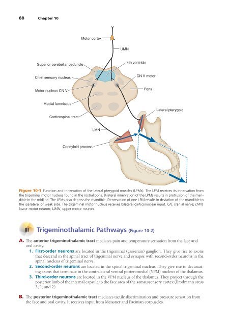 High-Yield Neuroanatomy 5e