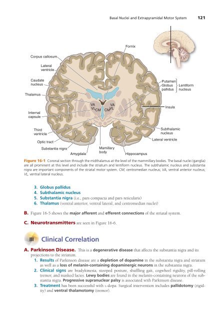 High-Yield Neuroanatomy 5e