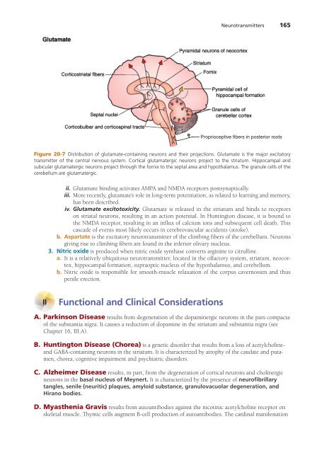 High-Yield Neuroanatomy 5e