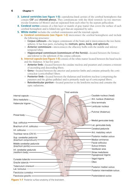 High-Yield Neuroanatomy 5e