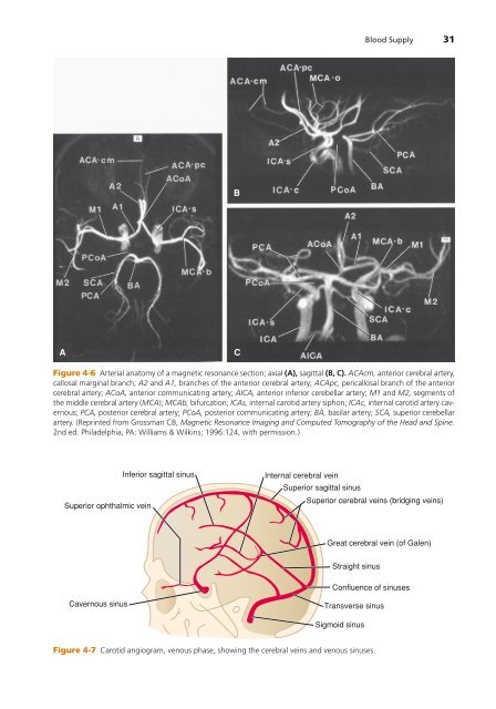 High-Yield Neuroanatomy 5e