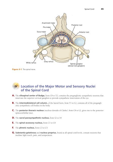 High-Yield Neuroanatomy 5e