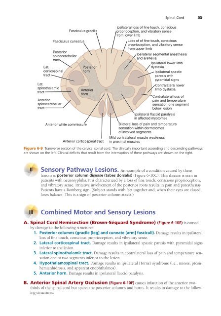 High-Yield Neuroanatomy 5e