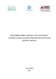 relatório sobre a missão a nova zelândia e austrália efetuada pelo ...