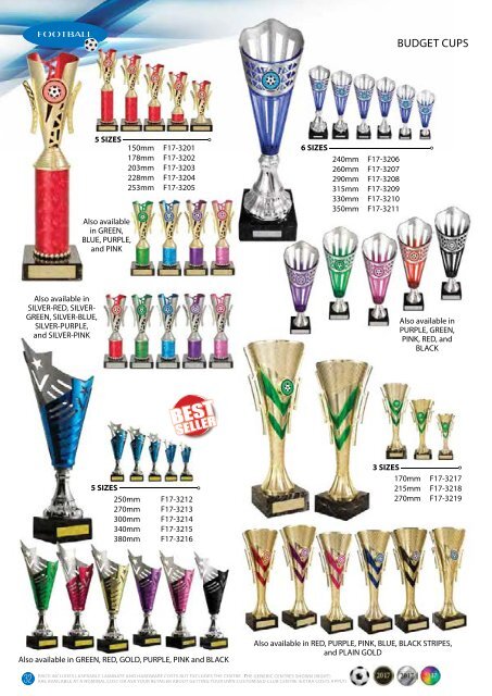 2017 Some Really Different Football Trophies