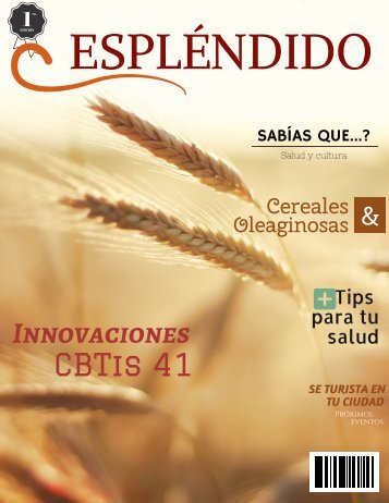 Revista