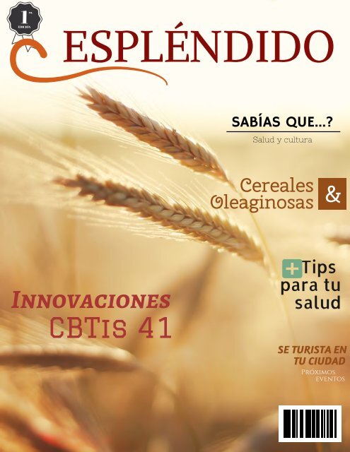 Revista