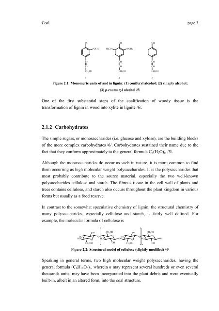 Understanding self-ignition of coal - Sino German Coal fire project