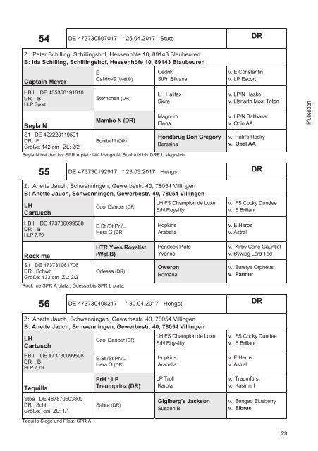 Fohlenschaukatalog Kleinpferde & Kaltblut 1/2017