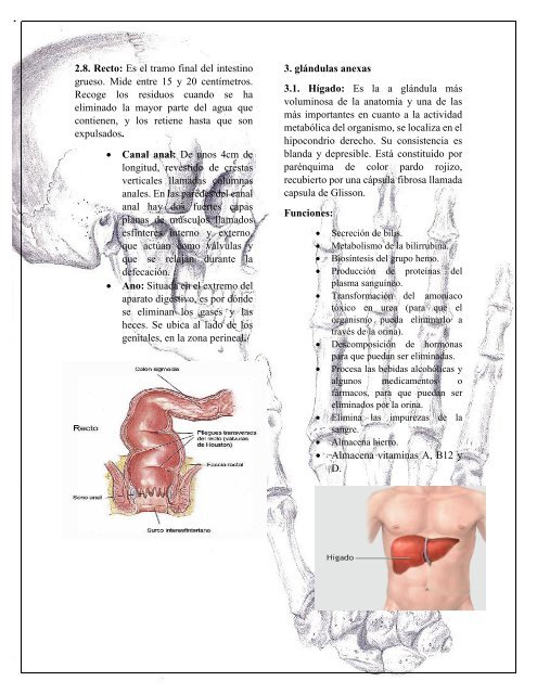 revista sobre el aparato digestivo