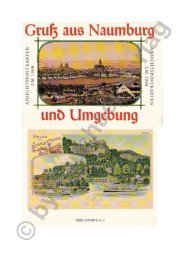 Gruß aus Naumburg und Umgebung - Ansichtskarten um 1900