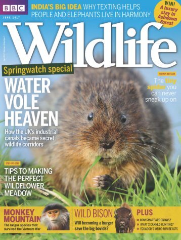 BBC_Wildlife_June_2017