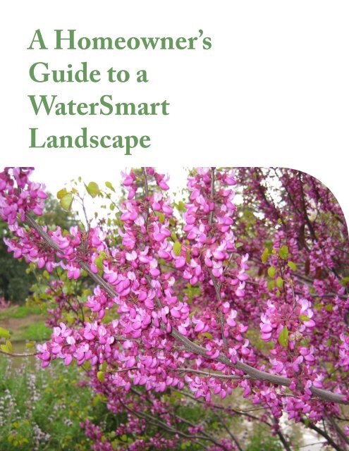 A Homeowner's Guide to a WaterSmart Landscape