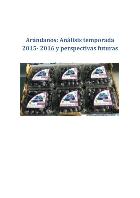 Arándanos-Revista