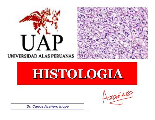 clase1histologia-090830171012-phpapp02