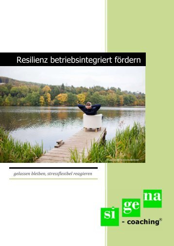 Flyer Resilienztraining