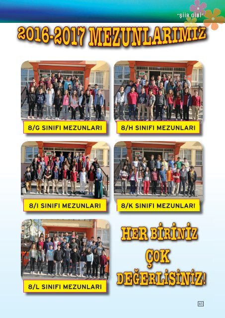 SIIR GIBI 2017