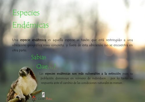 Especies endémicas (3)