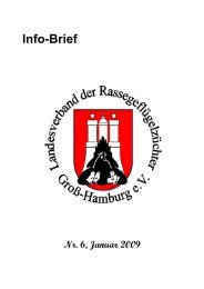 38. HAMBURGER Rassetaubenschau in BLANKENESE