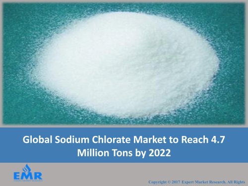 Sodium Chlorate Market Price Trends, Share and Outlook From 2017 To 2022