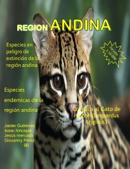 revista 2.05