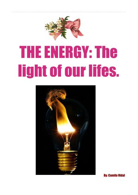 SAVEENERGY VIDAL