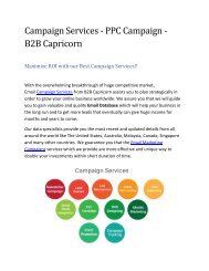 Campaign Services - PPC Campaign - B2B Capricorn