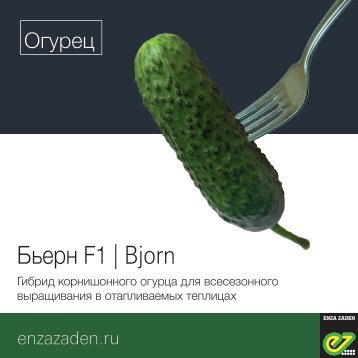 Бьерн F1 | Bjorn