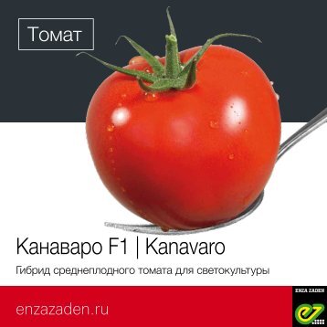 Канаваро F1 | Kanavaro