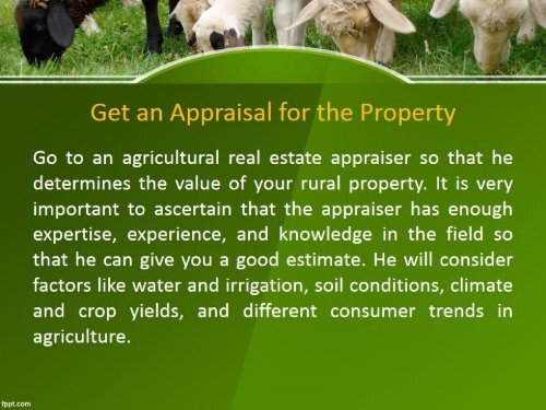 Top 5 Tips to Sell Your Farm