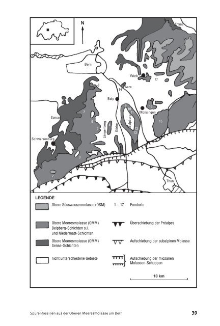 Spurenfossilien aus der Oberen Meeres - Naturhistorisches ...