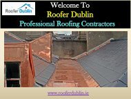 Roofing Repairs in  Dublin