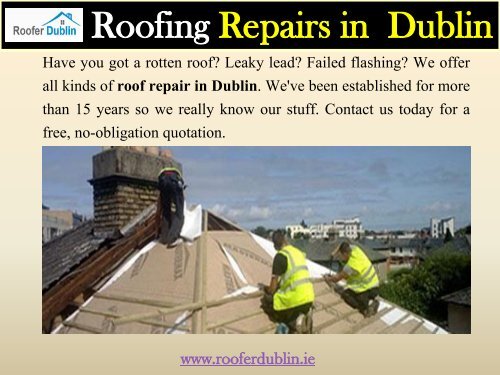 Roofing Repairs in  Dublin