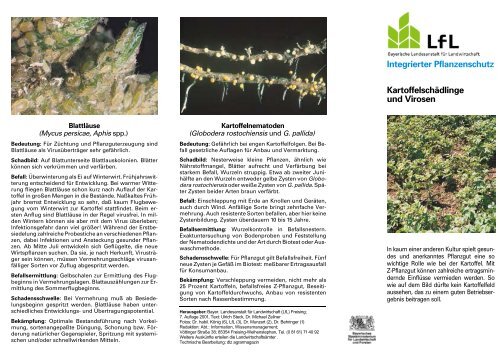 Integrierter Pflanzenschutz Kartoffelschädlinge und Virosen