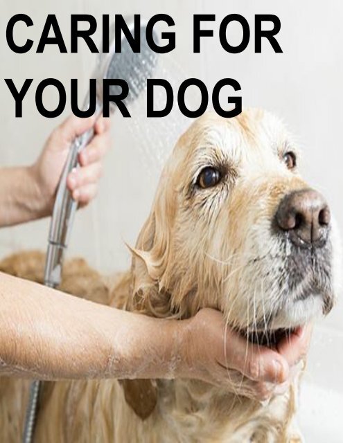 Caring For Your Dog