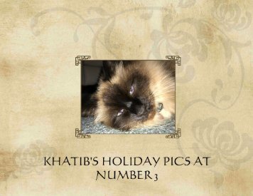 KHATIBS HOLIDAY AT NUMBER THREE ISSUE 4