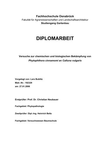 DIPLOMARBEIT - ABiTEP GmbH